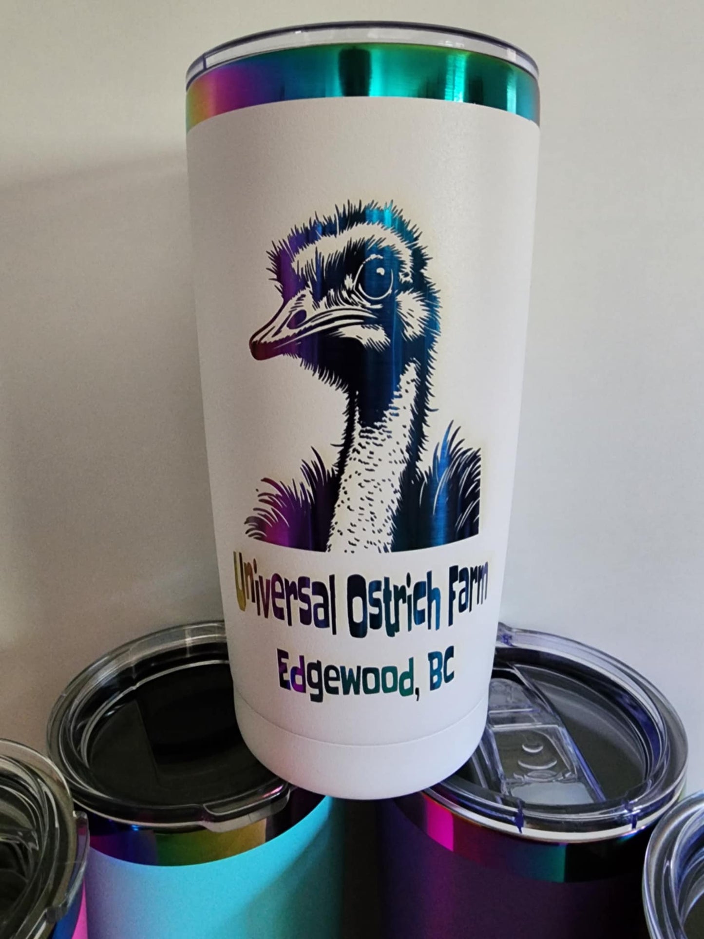 20oz Rainbow Thermos