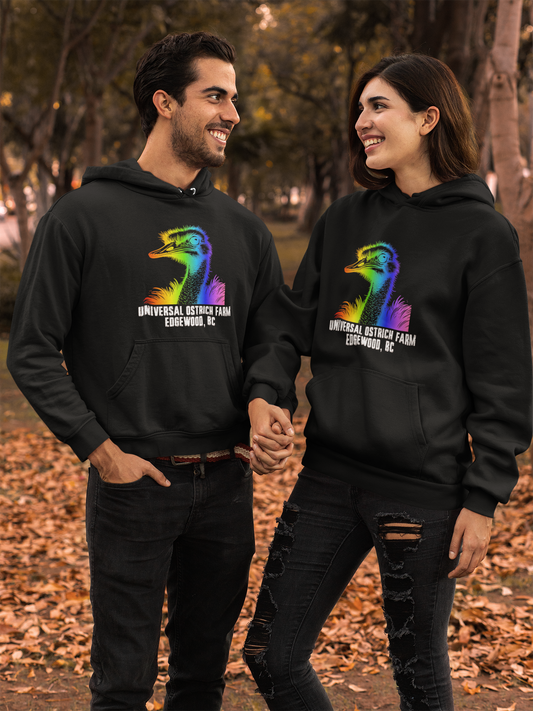 Adult Hoodie Rainbow Design